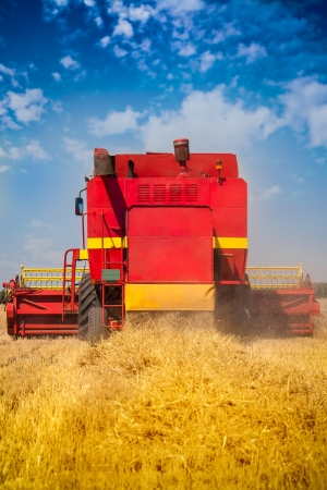 Combine harvesting wheatの写真素材