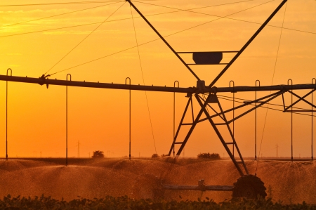 Agricultural Irrigation Sprinklerの写真素材