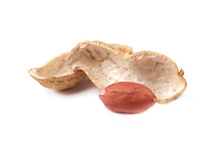 Peanuts isolated on white background