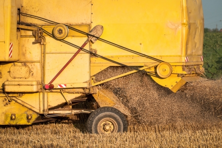 Combine harvester working a wheat fieldの写真素材
