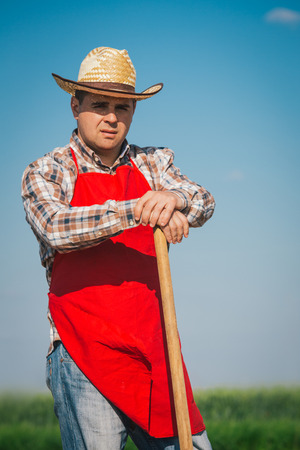 Farmer in corn fieldの写真素材