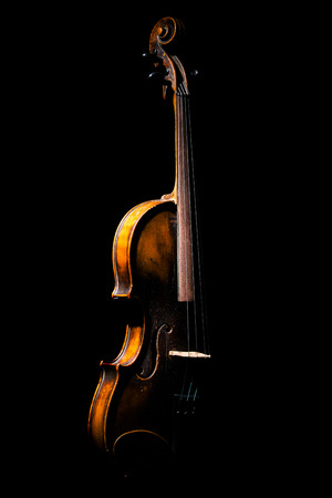Vintage violin on black backgroundの写真素材