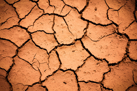 Cracked soil groundの写真素材