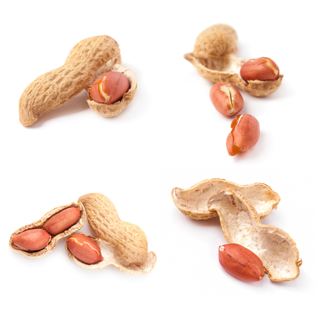 Set of peanuts isolated on white background