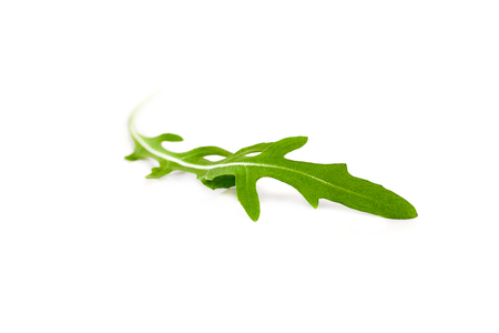 Single green arugula leave isolated on white backgroundの写真素材