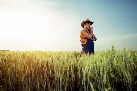 Farmer standing in a wheat fieldの写真素材