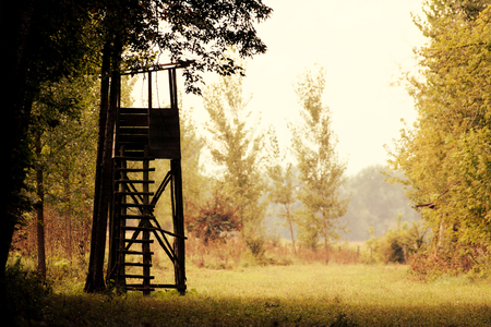 Autumn nature with a hunting tower on a fieldの写真素材