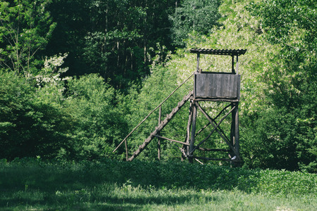 Deer stand hunting tower in green forest on a sunny summer dayの写真素材