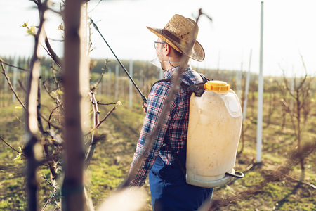 Farmer spraying trees with pesticide from pump sprayerの写真素材