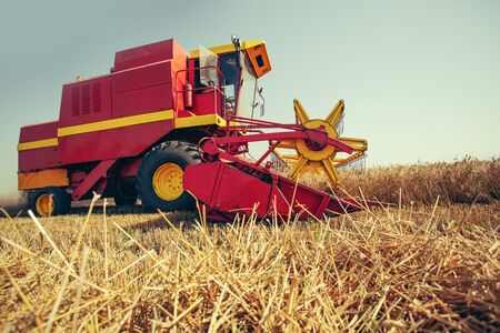 Harvesting wheat harvester on a sunny summer dayの写真素材
