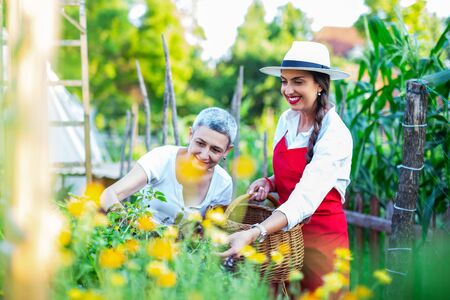 Mother and daughter working in gardenの写真素材