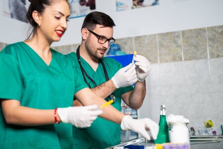 Veterinarian preparing injection for dogs.の写真素材