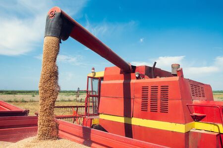 Combine harvester unloads wheat grain into the tractor trailer.の写真素材