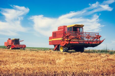 Combine harvesting in a field of golden wheat.の写真素材