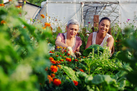 Mother and daughter gardening together.Gardening discovering and teaching.