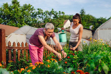 Mother and daughter gardening together.Gardening discovering and teaching.の写真素材