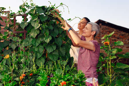 Mother and daughter gardening together.Gardening discovering and teaching.の写真素材