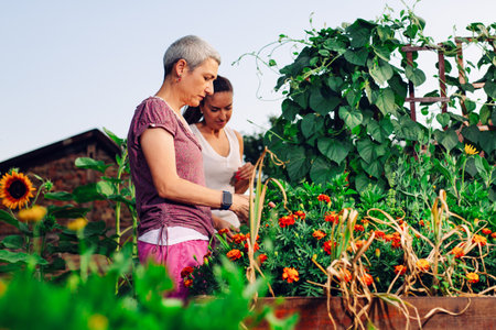 Mother and daughter gardening together.Gardening discovering and teaching.の写真素材