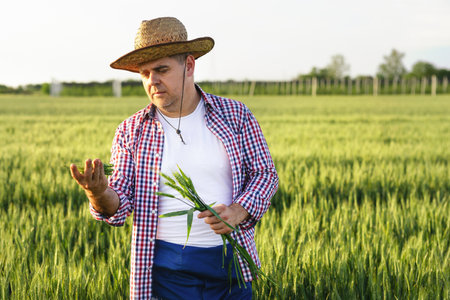A man is inspecting crops in the field
