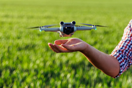 Farmer controlling drone landing on hand in cultivated wheat field
