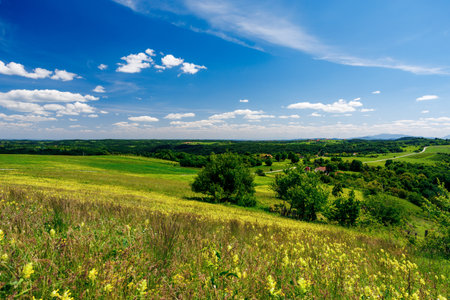Scenic view of rolling hills, green pastures, and trees under a blue sky with fluffy white cloudsの写真素材
