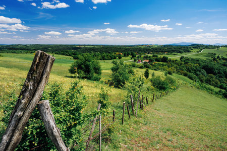 Picturesque rural scenery showcasing vast green meadows, a rustic wooden fence, and a clear blue sky with fluffy white cloudsの写真素材
