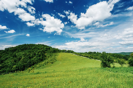 Lush green meadows and hills bathed in sunlight under a vibrant blue sky dotted with fluffy white clouds, creating a serene summer landscapeの写真素材
