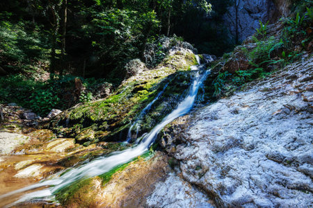 Refreshing stream flowing over rocks and moss in a lush green forest, creating a tranquil natural sceneの写真素材