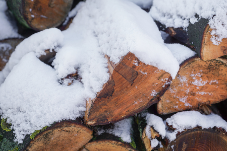 Pile of wood covered with snowの写真素材