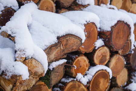 PIle of wood covered with snowの写真素材