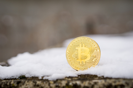 A gold Bitcoin placed in snow on concrete. Isolated scene of  cryptocurrency in snowの写真素材