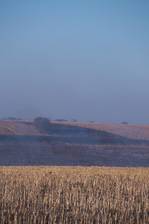 Fire set on corn field.Burning corn field after the harvest.の写真素材