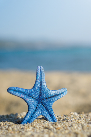 Blue starfish pinned on sand at the beach. Blue sea on background.の写真素材