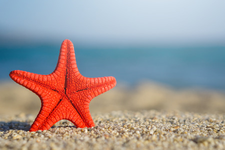 Red starfish pinned on sand at the beach. Blue sea on background.の写真素材