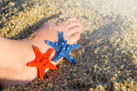 Blue and red starfish near foot on sand at the beach.の写真素材