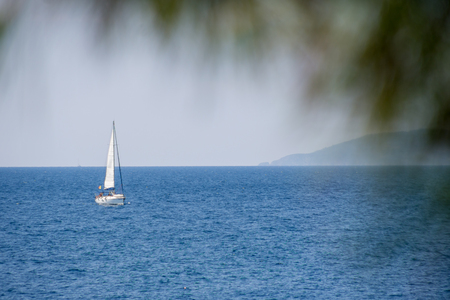 A white sailboat sail on the sea. Photo-captured through the branches of the pine.の写真素材