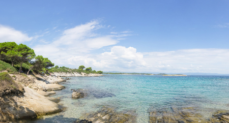 Blue sea water waves and rock beach with trees.の写真素材