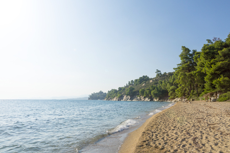 Blue sea water and sandy beach with trees.の写真素材