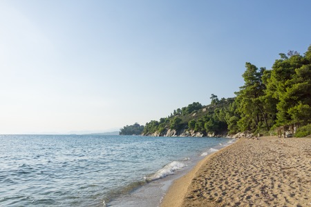 Blue sea water and sandy beach with trees.の写真素材