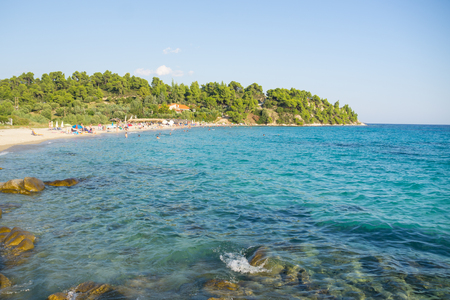 Blue sea water and sandy beach with trees.の写真素材