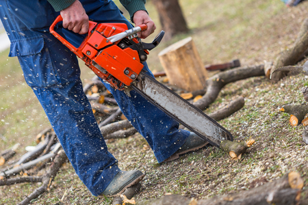 Old man holding orange chainsaw with his bare hands and cutting a branch placed on the groundの写真素材