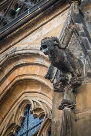 One of gargoyles of St. Vitus cathedral in Pragueの写真素材