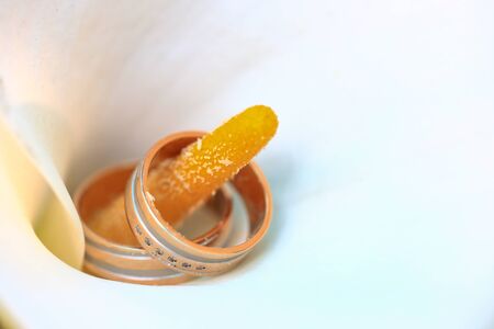 Macro close up of two wedding rings on yellow brawl of white flowerの写真素材