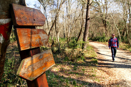 A signpost by the roadside in the nature of forest. The man passerby walking woods. Signpost along...
