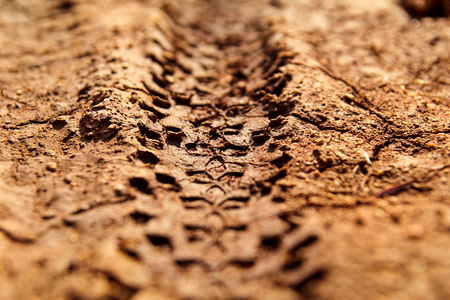 Bike tire tracks on muddy trail royalty. Tire tracks on wet muddy road, abstract background, texture material. Tyre track on dirt sand or mud, retro tone, grunge tone, drive on sand, off road track.の写真素材