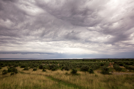 Scenic view on overcast and dynamic clouds over olive trees / Wonderful surroundings panoramic / Beautiful natural environment horizon and panorama in background / Stormy sky over green field.の写真素材