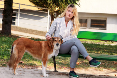 Beautiful woman with his small mixed breed dog sitting and posing in front of camera on wooden bench at city parkの写真素材