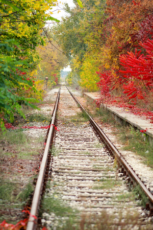 Railway track with beautiful natural environment and phenomenal autumn colorful leaves on treesの写真素材