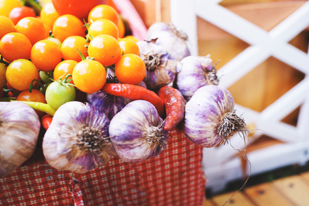 Harvesting garlic tomato