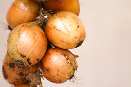 a bunch of onionsの写真素材